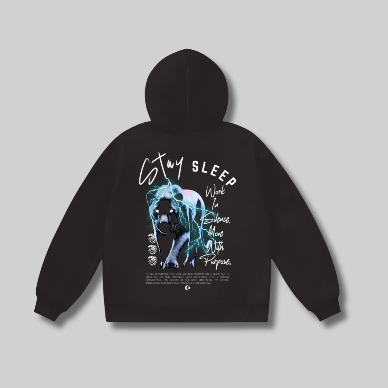 Stay Sleep “SYL AYA” Panther Oversized Hoodie